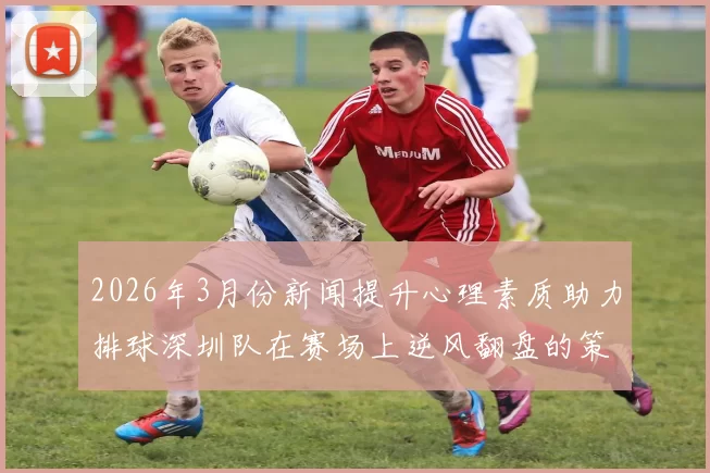 2026年3月份新闻提升心理素质助力排球深圳队在赛场上逆风翻盘的策略探讨